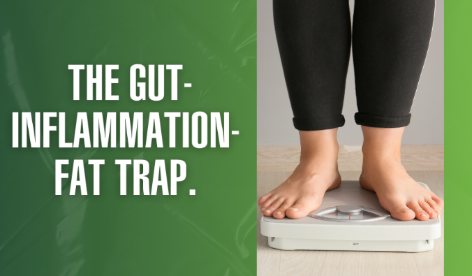 Why Your Weight Won’t Budge (Even If You’re Doing Everything “Right”)