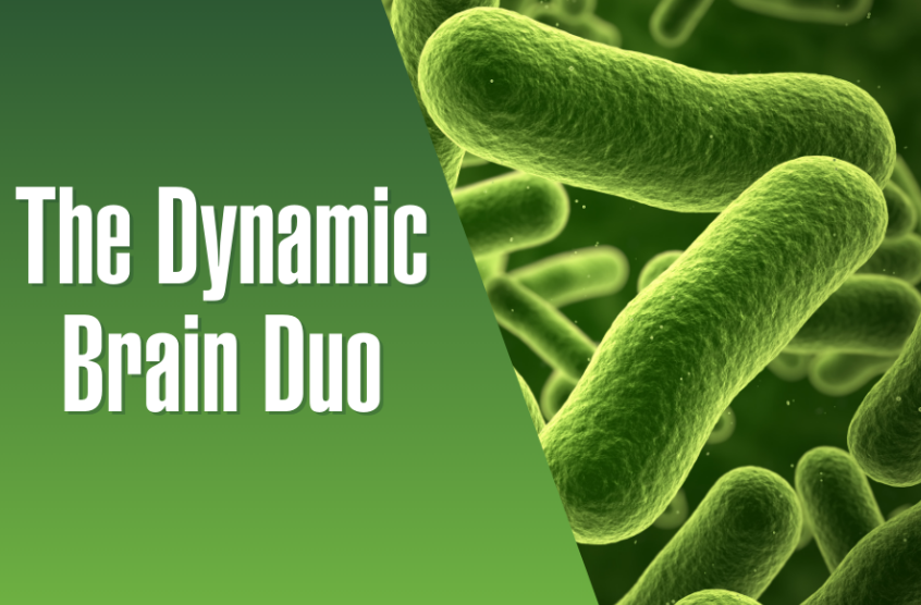 The Dynamic Brain Duo (I bet you do NOT know about this!)