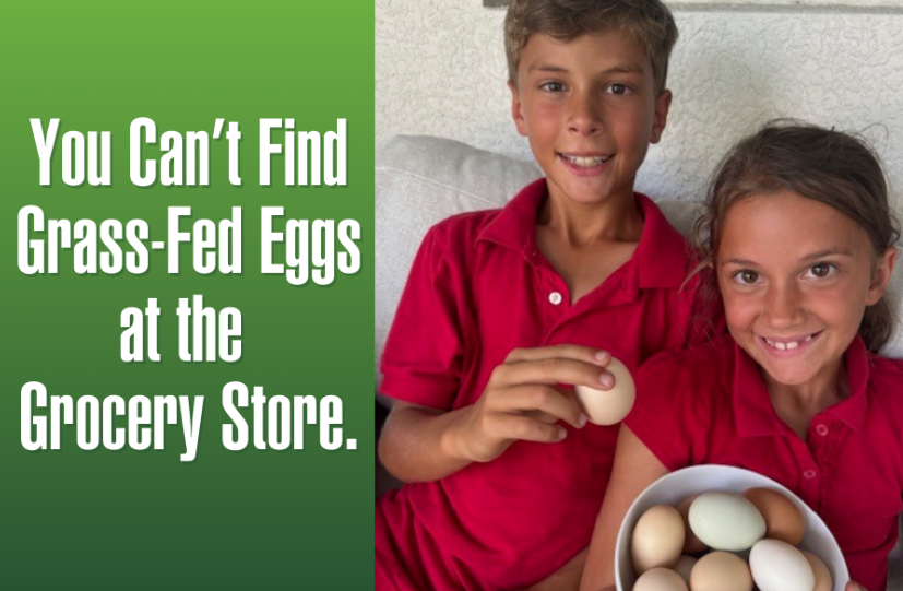 You Can’t Find Grass-Fed Eggs at the Grocery Store