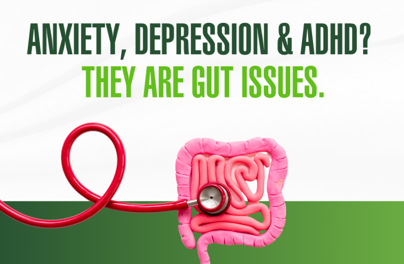 Anxiety, Depression, and ADHD?  They are GUT issues