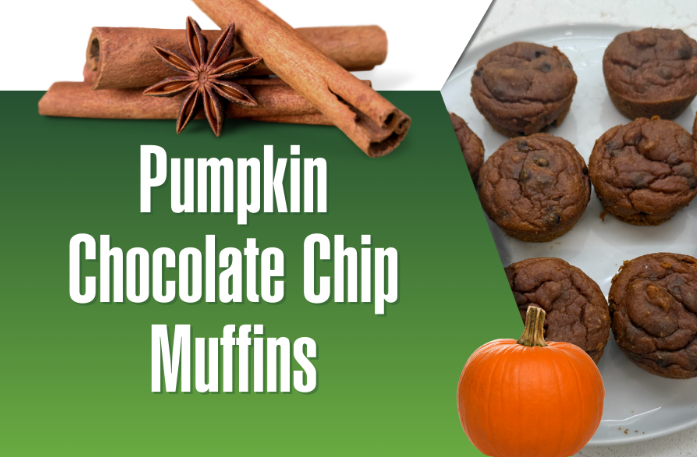 Gut-Healthy Pumpkin Chocolate Chip Muffins    (No Flour, Just Flavor!)