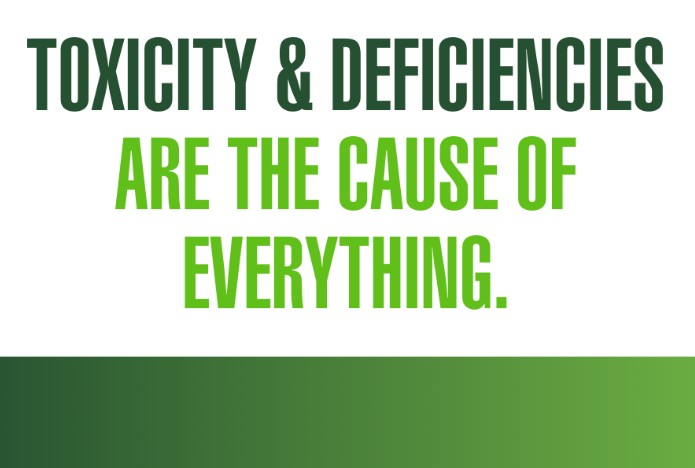 Toxicity and Deficiencies Are the Cause of Everything