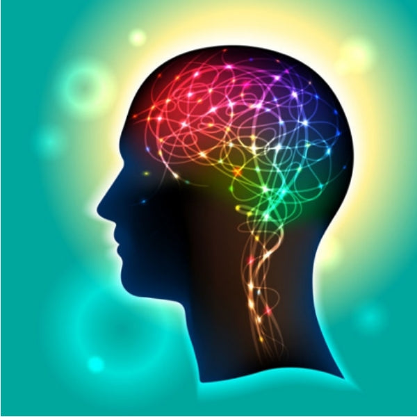 The Single Most Important Nutrient for Your Brain