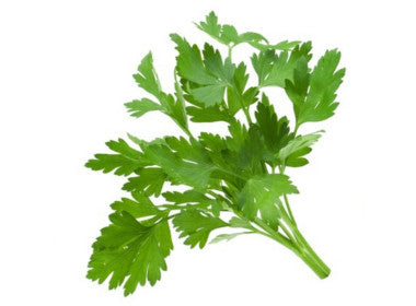 The 8 Most Powerful Herbs to Detoxify Your Body