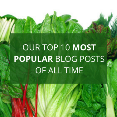 Our Top 10 Most Popular Blog Posts of All Time