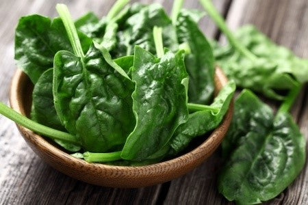 Alkaline Diet Recipe: Creamy Spinach Basil Soup