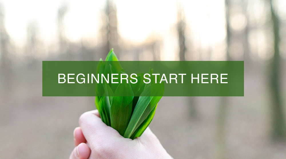 Beginners Start Here