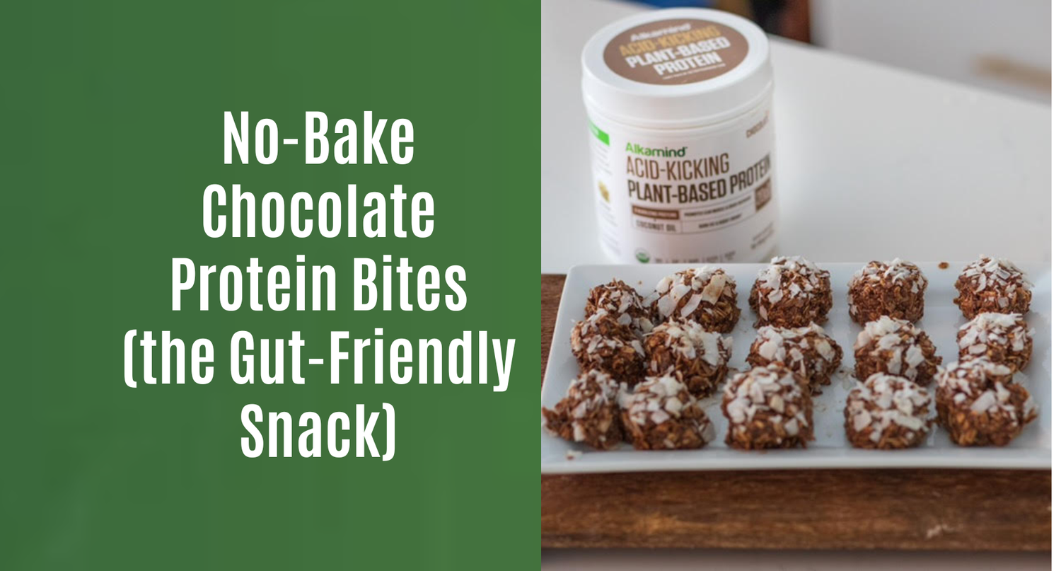No-Bake Chocolate Protein Bites (the Gut-Friendly Snack)