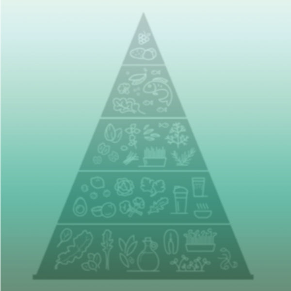 Food Pyramid