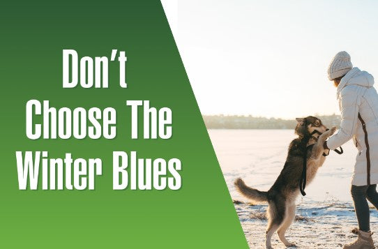 Don’t Choose The Winter Blues