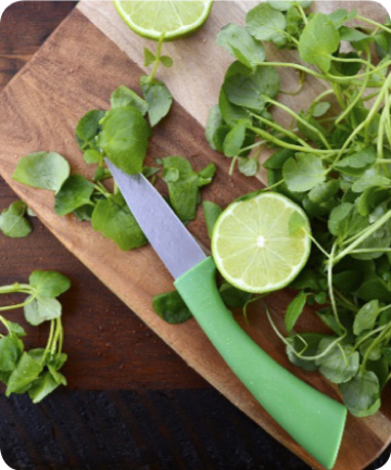 Citrus Jicama Watercress Salad