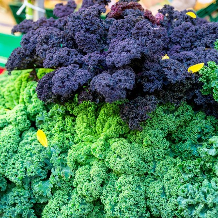 Acid-Crushing Green Detox Soup